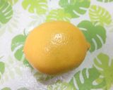 レモン1個で輪切りと串切り♪作り方1写真
