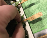 冷凍焼鳥＋マヨ＋紫蘇　のり巻き　簡単作り方10写真