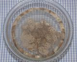 花粉症対策☆乾燥レンコンとひき肉あん作り方11写真