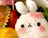 春キャラ弁♡モランとピヨピヨ♡作り方4写真
