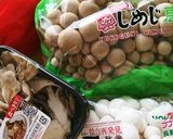 ヘルシーきのこづくし炒め作り方1写真