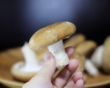 お母さん直伝！ たけのこ和風グラタン作り方11写真