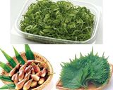 薬味香る♪パリパリそうめんの和ピッツァ作り方1写真
