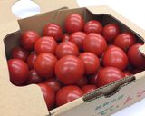 糀甘酒ピクルス(ミニトマト)作り方3写真