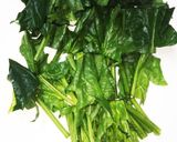 付け野菜に♪ほうれん草茹でただけ作り方2写真