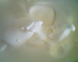 ★☆生苺シフォン☆★作り方6写真