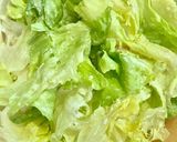 ＊鶏団子とレタスのクリーム煮＊作り方6写真