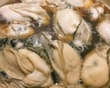ふっくらプリプリ！縮まない超簡単牡蠣ご飯作り方1写真