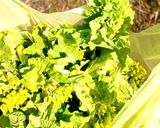 菜の花で簡単!菜の花味噌作り方1写真