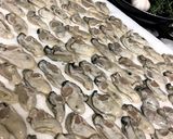牡蠣のオイル漬け作り方1写真