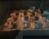 バター不使用☆全粒粉フルグラスコーン作り方6写真
