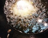 鶏梅しそ天ぷら作り方5写真