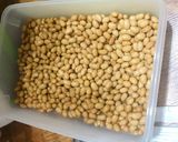 #海外で納豆作り作り方4写真
