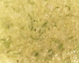 本場の味!栄養満点キャベツ入りたこ焼き♫作り方6写真