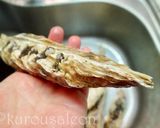 牡蠣とエノキタケのニンニクバター醤油炒め作り方9写真