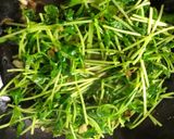 豆苗と小海老のペペロンチーノ作り方4写真