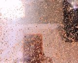 使ってみたくて♪『黒瀬スパイス』で豚焼肉作り方4写真