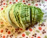 キャベツと鶏むね肉の簡単春巻き作り方1写真
