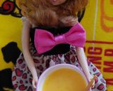 ミニチュア☆リカとしりしり作り✧︎*作り方5写真