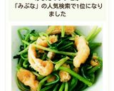 みぶ菜とお揚げさんの簡単炒め煮作り方5写真