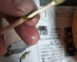 ほたるいかと筍と土筆のパスタ作り方2写真