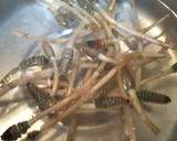 ほたるいかと筍と土筆のパスタ作り方4写真