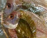 わさび菜とちくわの梅和え作り方6写真
