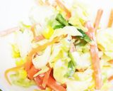 彩りコールスロー作り方5写真
