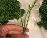 簡単ドライパセリ作り方1写真