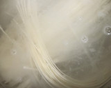超簡単　ほうれん草とエビ煮込みうどん作り方2写真