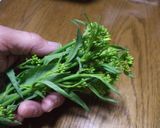 からし菜（菜の花）の 親子和え作り方1写真