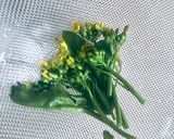 canola flower pasta作り方8写真