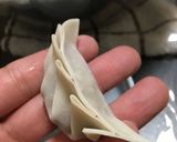 餃子とは野菜料理なのじゃからな作り方18写真