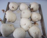 チューリップ手羽先パン作り方11写真