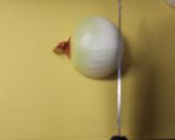 簡単！逆から切る玉ねぎのみじん切り作り方4写真