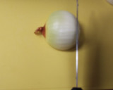 簡単！逆から切る玉ねぎのみじん切り作り方4写真