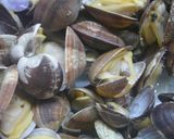 あさりの生姜煮作り方3写真