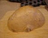 JICAMA　サラダ作り方1写真