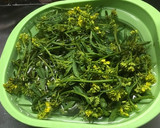 春が旬つくしとからし菜(菜の花)の天ぷら作り方1写真