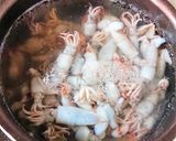 そのままが一番美味しい!小イカの塩ゆで作り方2写真