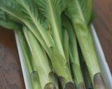 うるいの胡麻あえ（その他食べ方）作り方1写真