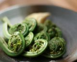 こごみのおひたし(その他食べ方)作り方3写真