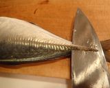 アジの刺身作り方4写真