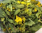 菜の花（からし菜）の佃煮作り方1写真