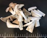 【冷凍保存】きのこ作り方2写真