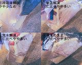 冷凍魚はそのまま低温調理できる?比較実験作り方9写真