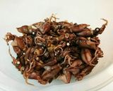ホタルイカのうま煮♪作り方1写真