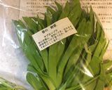 ヤブカンゾウとキャベツのサラダ作り方4写真