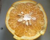 柑橘類のむき方☆簡単にキッチンバサミ使用作り方3写真