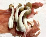 旨塩でしめじの肉巻き作り方2写真